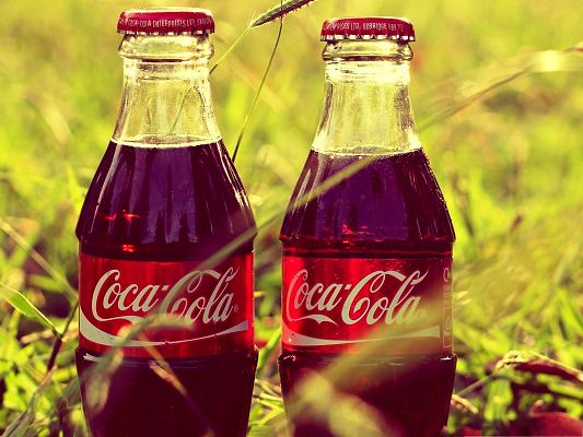 click to free download the wallpaper--Wallpapers for Computer Free, Two Coca-Colas Among Green Grass