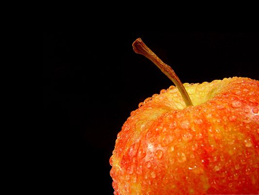 click to free download the wallpaper--Wallpapers for Computer Free, Wet Apple on Dark Background, Want a Bite?