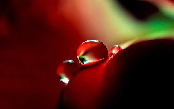 click to free download the wallpaper--Waterdrop Photography, Crystal Clear Waterdrops, Early Morning Scene