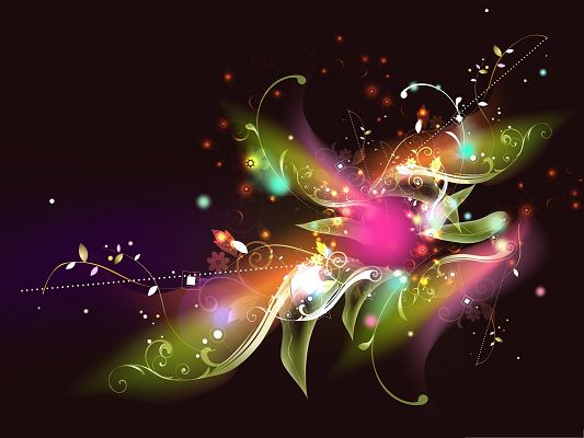 click to free download the wallpaper--Wide Wallpaper for Desktop - Colorful and Bright Flower on Dark Background