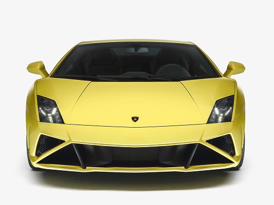 click to free download the wallpaper--World-Known Super Car Images of Lamborghini Gallardo, in Stop, It Shall Strike a Deep Impression