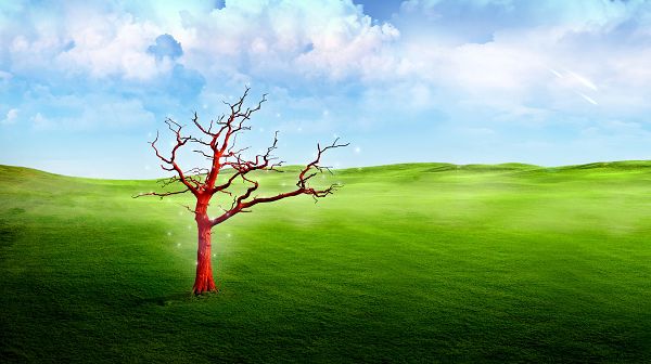 click to free download the wallpaper--beautiful scenery pictures - In 3D Style, the Red Tree Standing Alone in the Green Field