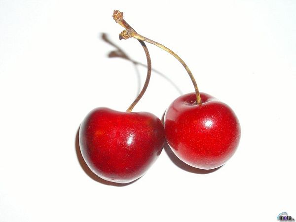 beautiful wallpaper of cherry
 ,click to download
