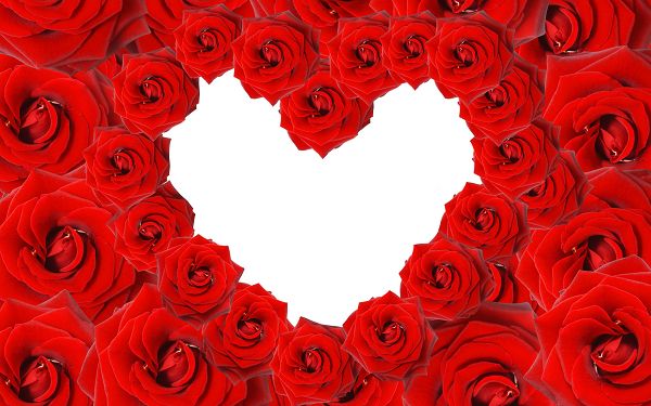 free wallpaper of a heart sign created with roses ,click to download