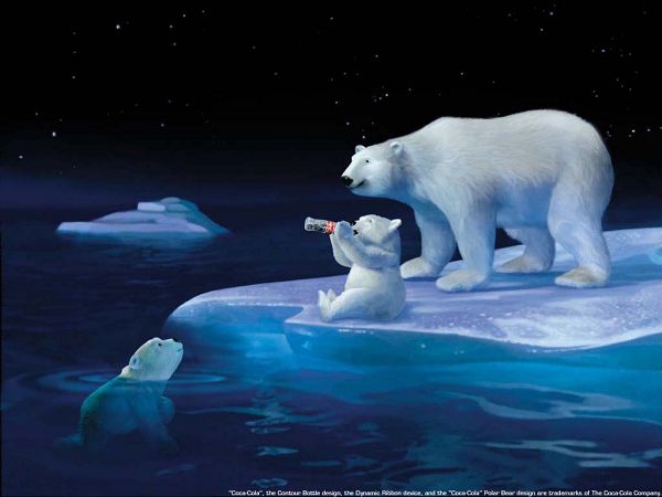 Free Wallppaer: Cute Polar Bear