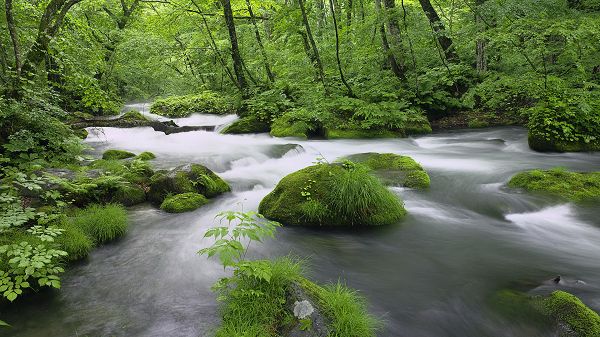 click to free download the wallpaper--landscape photos - The Clear River in Rapid Flow, Green Stones in the Middle, Won't be Rushed Away