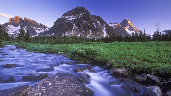 click to free download the wallpaper--landscape picture - Hill Tops Are Still Snow-Covered, Flowing River, Is It Cold in There?