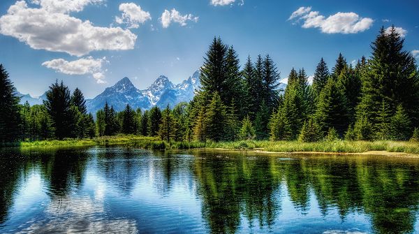 click to free download the wallpaper--landscape wallpaper - The Blue Sky Decorated with White Clouds, Tall Trees Shadowing in the Clear Sea