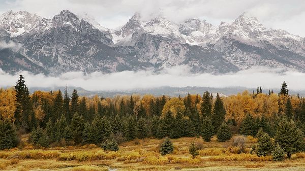 click to free download the wallpaper--natural scene photo - Snow-Capped Mountains and Plants in Prosperous Growth, Quite a Contrast!