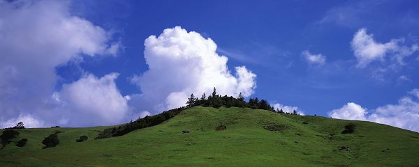 click to free download the wallpaper--natural scene photo - The Blue Sky with White Clouds as Decoration, Protecting Green Grass Beneath