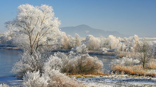 click to free download the wallpaper--natural scene photo - The Trees in White Clothes, the Blue River and Blue Sky, a Winter Scene!