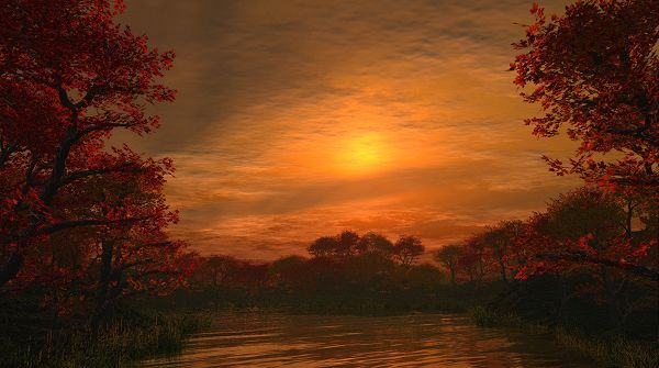 click to free download the wallpaper--natural scene photos - Maples Trees Alongside the Peaceful River, the Rising Sun, an Impressive Scene