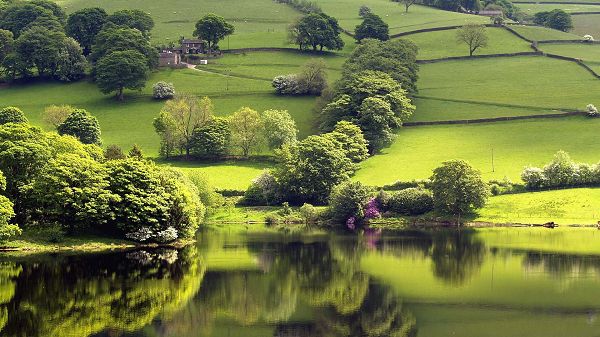 click to free download the wallpaper--nature images - Green Grass and Trees, the River is Clear and Green, What a Scene!
