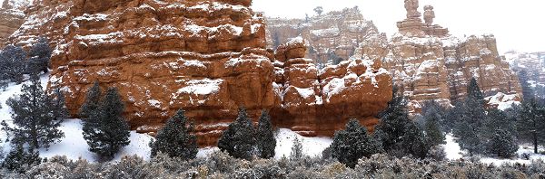 click to free download the wallpaper--pictures of nature scenery - Snow-Capped Stones and Plants, Presenting a Pure World
