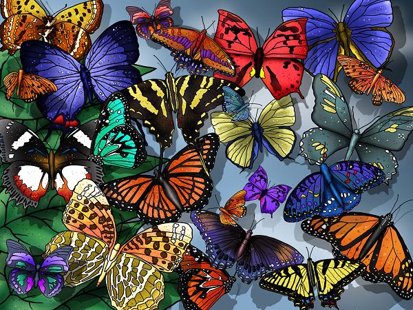 wallpaper of so many butterflies ,click to download