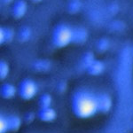 Free Water Wallpaper, a Full Eye of Blue Drops of Water, Clean and Fresh