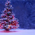 2016 Christmas Wallpaper HD Tree with Heavy Snow 1920*1080 (3)