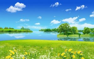 2017 HD Eye Vision Protection Scenery Wallpaper(2) White Cloud, Grass and Peace Lake