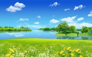 2017 HD Eye Vision Protection Scenery Wallpaper(2) White Cloud, Grass and Peace Lake